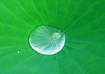 立地成人出愚海 <wbr> <wbr>山林子 <wbr>慧商 <wbr>自然智慧诗 立地成人出愚海 <wbr> <wbr>山林子 <wbr>慧商 <wbr>自然智慧诗