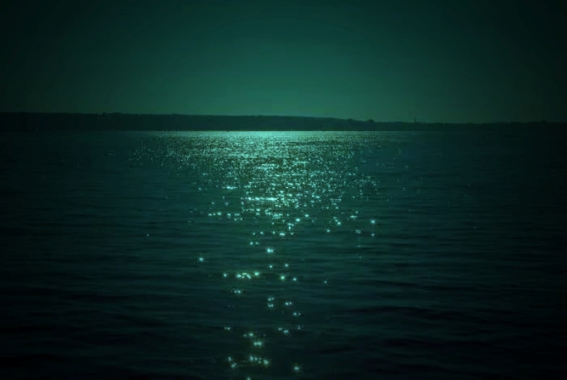 347_HZP.jpg 1589768942415020458.jpg