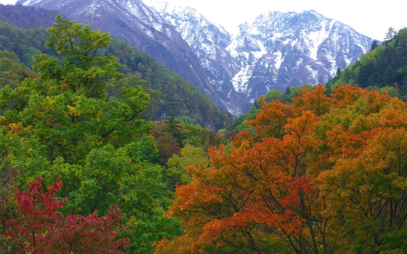538.jpg 1595259173911098277.jpg